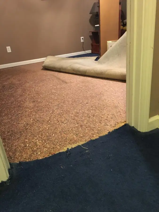 Carpet pad removal revealing water damage during Water Mitigation Services in Mount Laurel